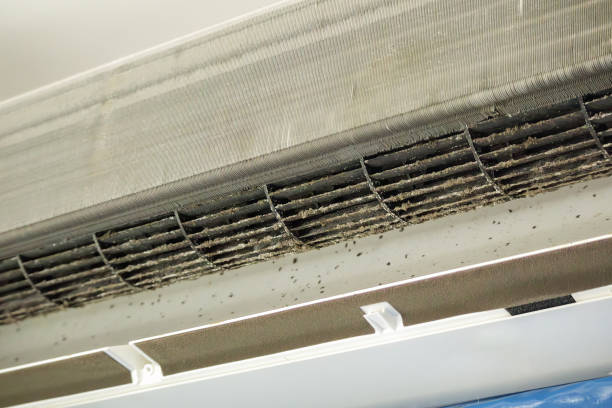 Best Affordable Air Duct Cleaning  in Kidron, OH